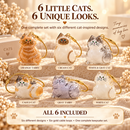 6-Piece Cat Fur Keepsake Charms – Pet Hair Memory Keychains for Cat Lovers