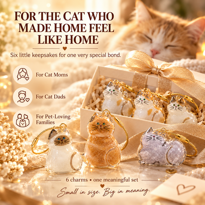 6-Piece Cat Fur Keepsake Charms – Pet Hair Memory Keychains for Cat Lovers