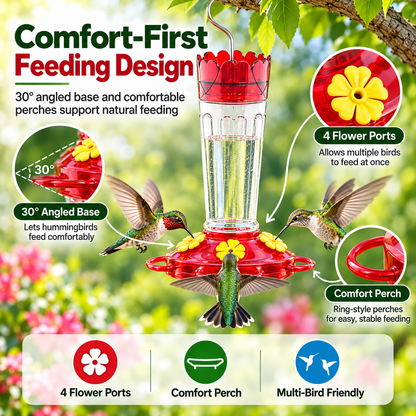Hummingbird Feeder – 14 OZ Glass Outdoor Hummingbird Feeder